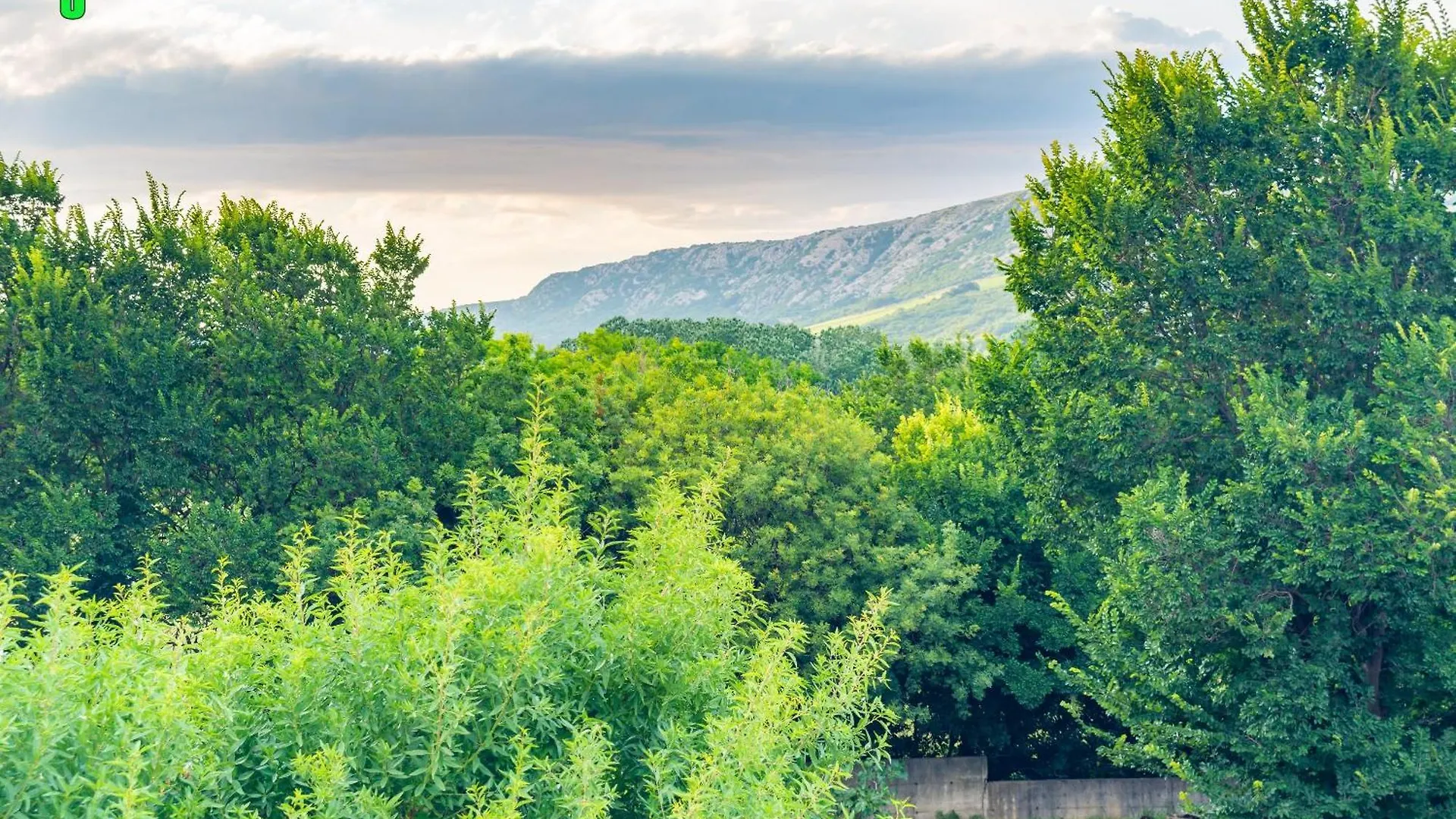 Apartments Dreamland Baska
